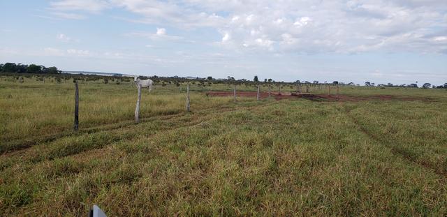 Fazenda 785 ha Pecuária R$ 9.420 milhões 67 km Campo Grande MS - Foto 3