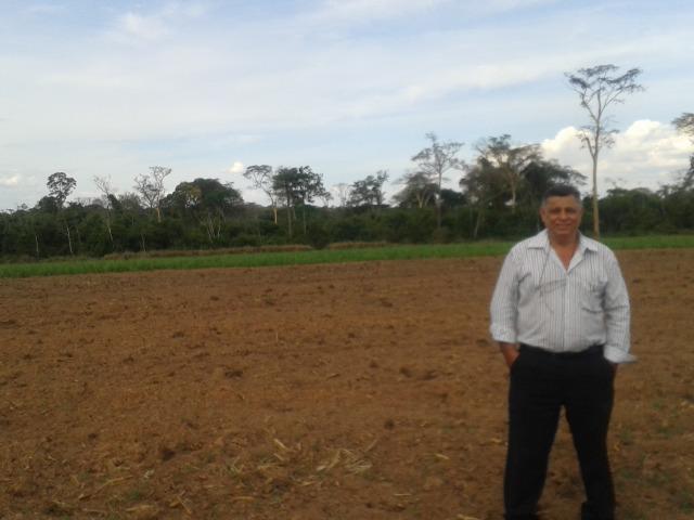 11.500 Hectares, Pecuária, 4800 há pastagens, estruturada, Mato Grosso. - Foto 7