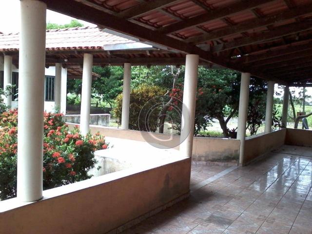 Sitio no cinturão verde - Foto 10