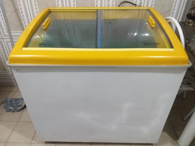 Freezer artico