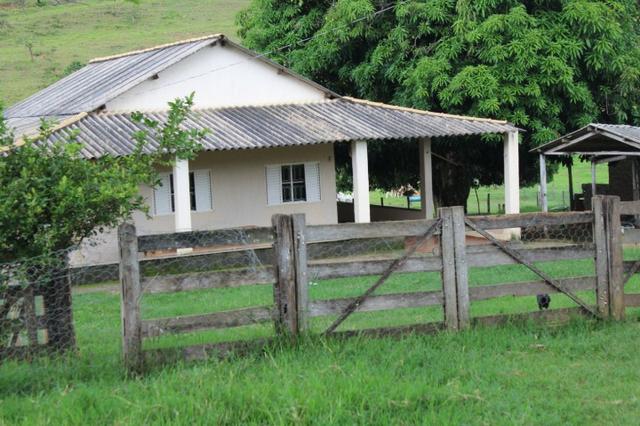 Fazenda Montada 25 Alqueires Cocalzinho"Toda Formada,72 km de Anapolis,129 km Goiania - Foto 12