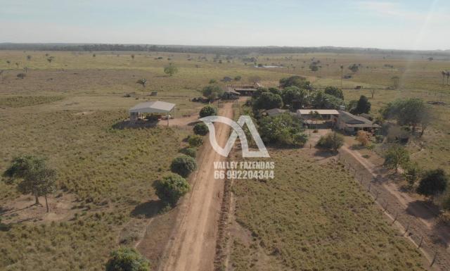 Fazenda à venda, 1134 hectares por R$ 24.000.000,00 - Novo Mundo/MT - Foto 10