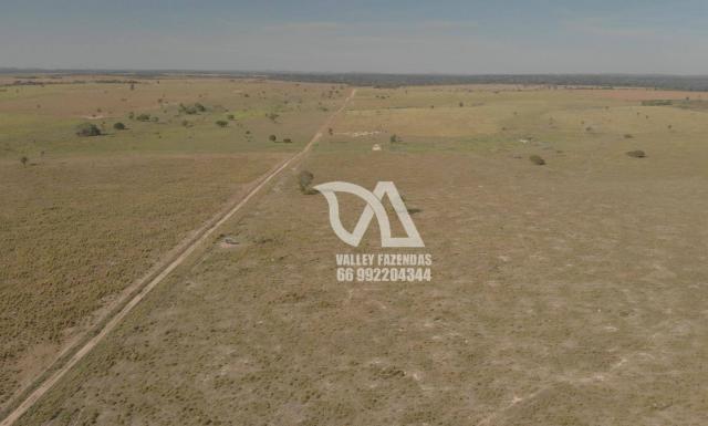 Fazenda à venda, 1134 hectares por R$ 24.000.000,00 - Novo Mundo/MT - Foto 15