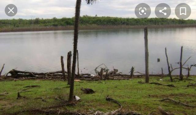 Terreno beira lago do Manso - Foto 2