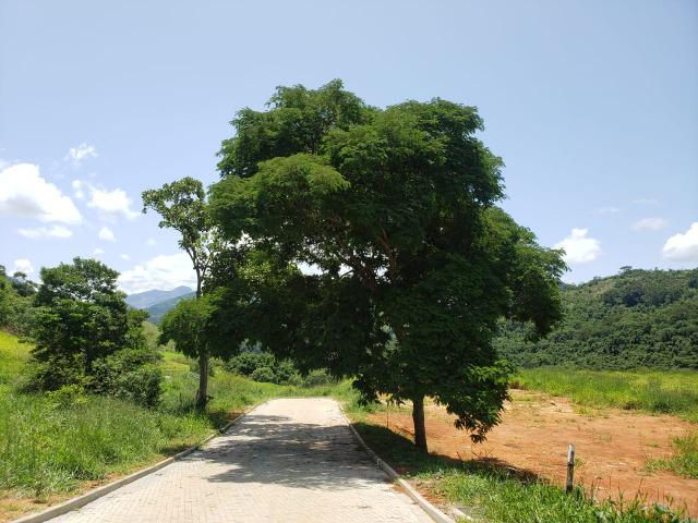 Condomínio loteado - Estancia do Rio -Secretário/Petropólis - Foto 6