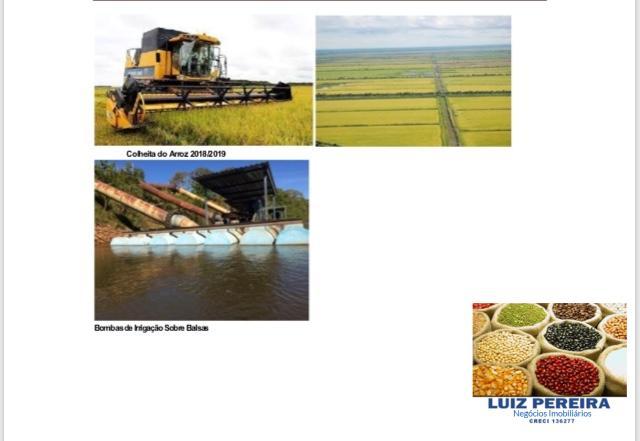 FAZENDA A VENDA P/ AGRICULTURA, PROJETO IRRIGAÇÃO EM LAGOA DA CONFUSÃO -TO - Foto 4