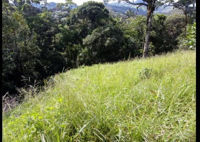 Vendo terreno de 4 alqueires em Ribeirão, Vargem Alta - Foto 8