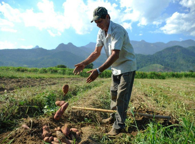 Investimento na área Rural - Produção Rural - Flores, Manaus 780959859 | OLX