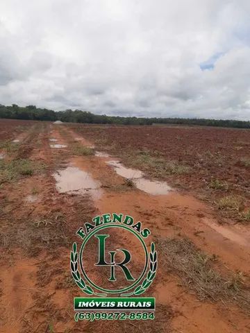 Fazenda 311 Alqueires Pedro Afonso - Foto 2