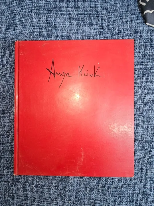 Livro Amyr klink as janelas do Paratii