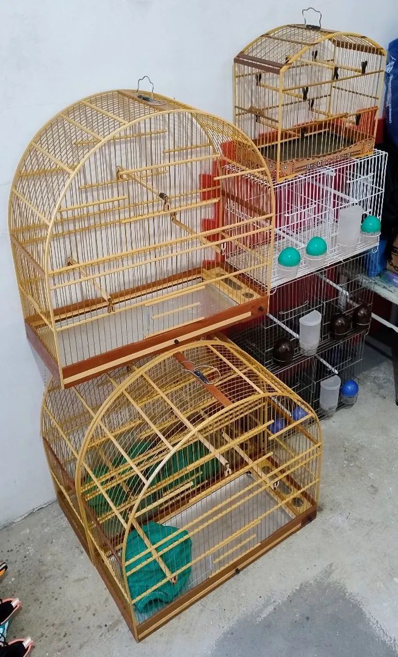 GAIOLAS (DESAPEGA GERAL) ***NÃO ACEITO TROCA*** - Foto 2