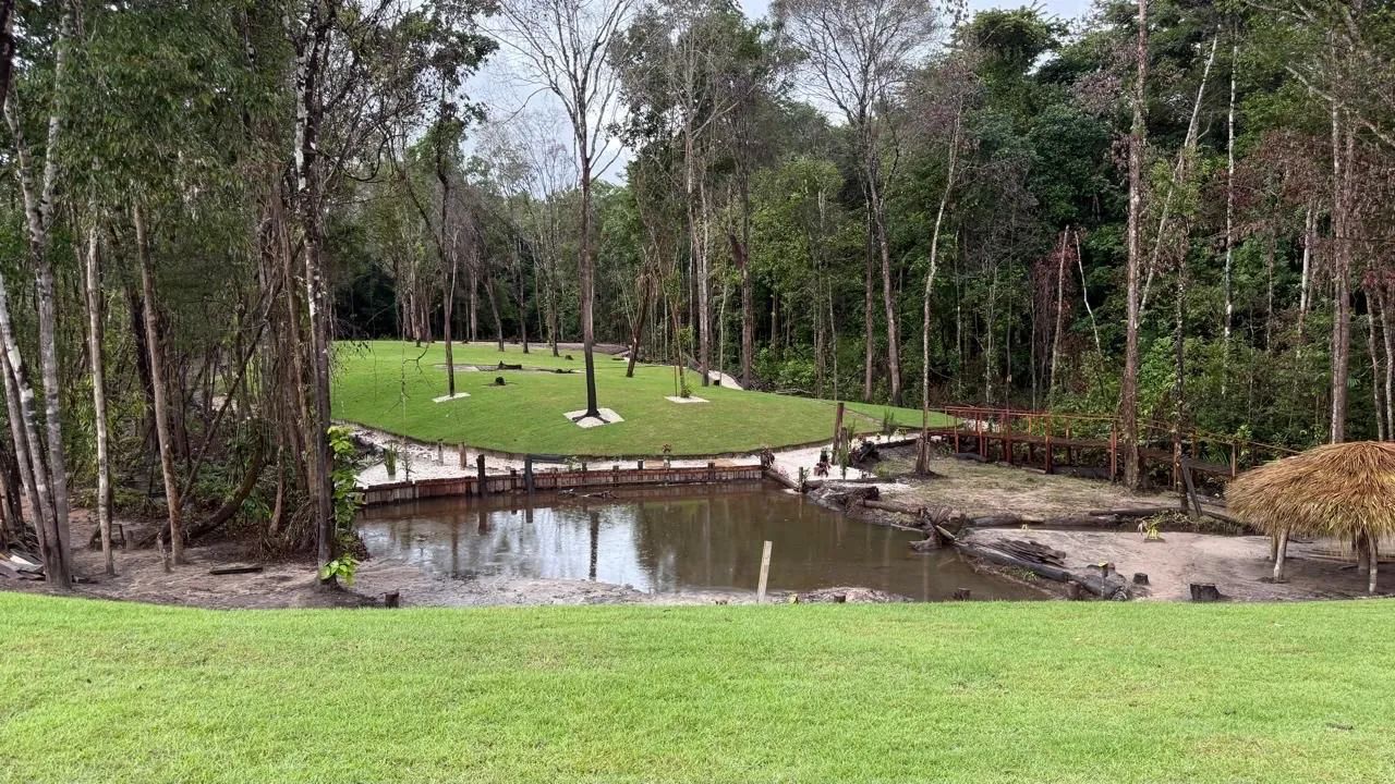Yoga em meio a natureza. 