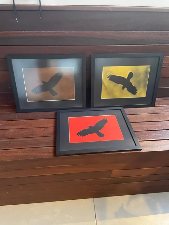 Quadros decorativos de pássaros