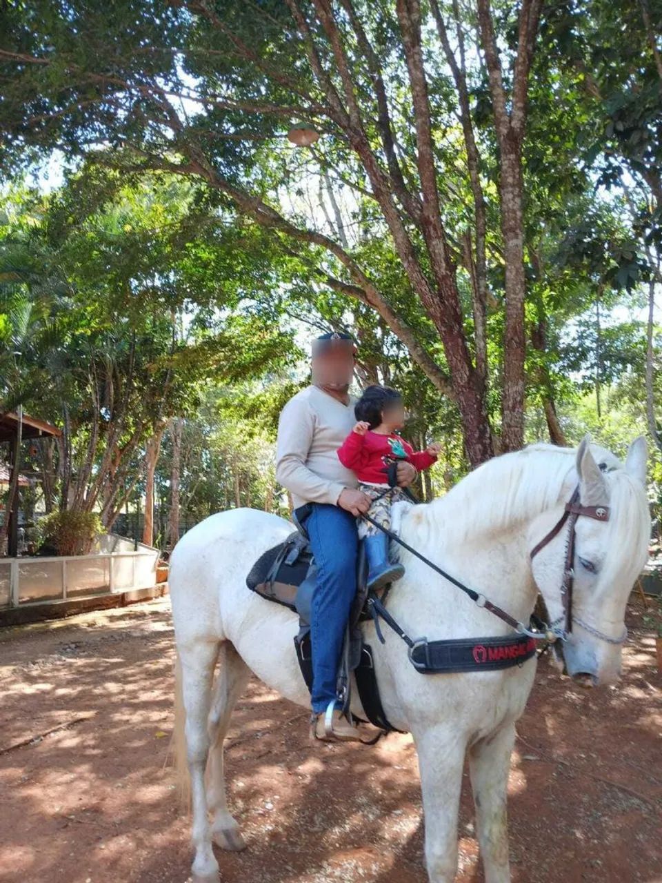 Cavalo ? 