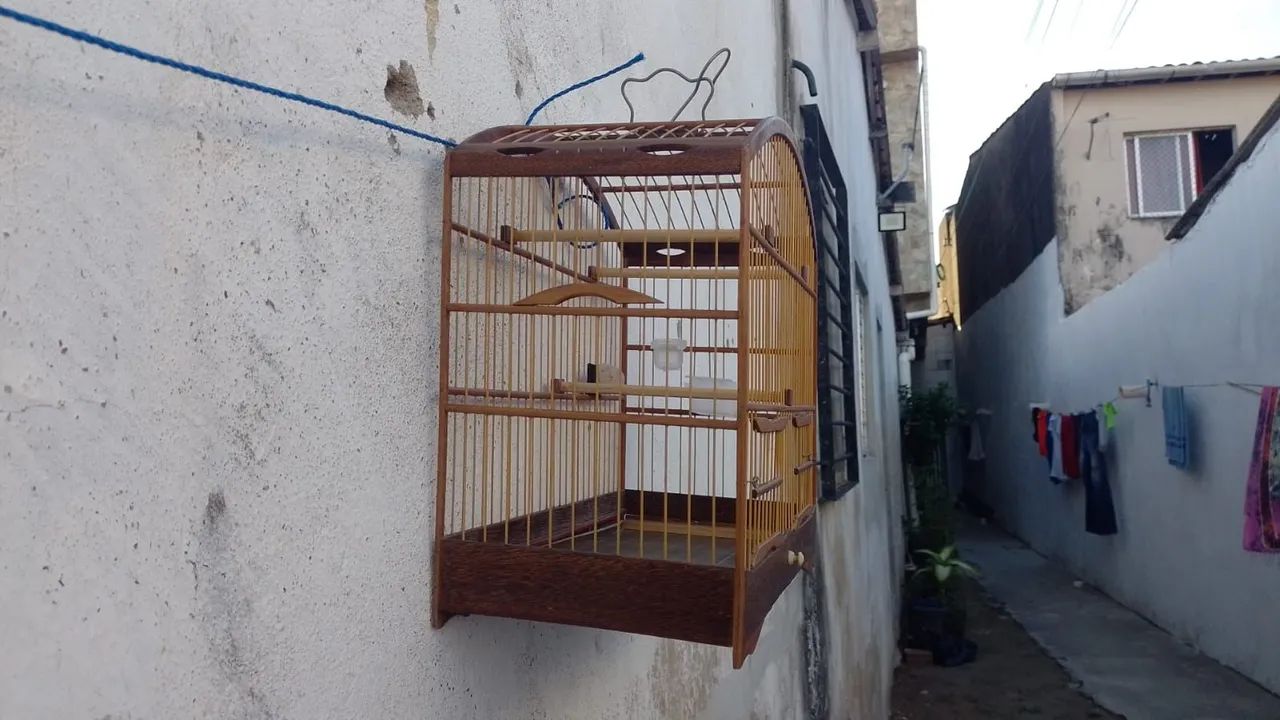 Tenho uma gaiola nova pra vender 70 reais - Foto 3