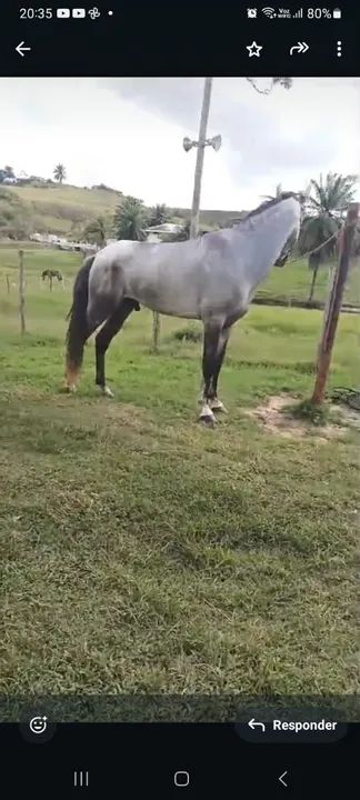 Vendo ou troco   - Foto 4