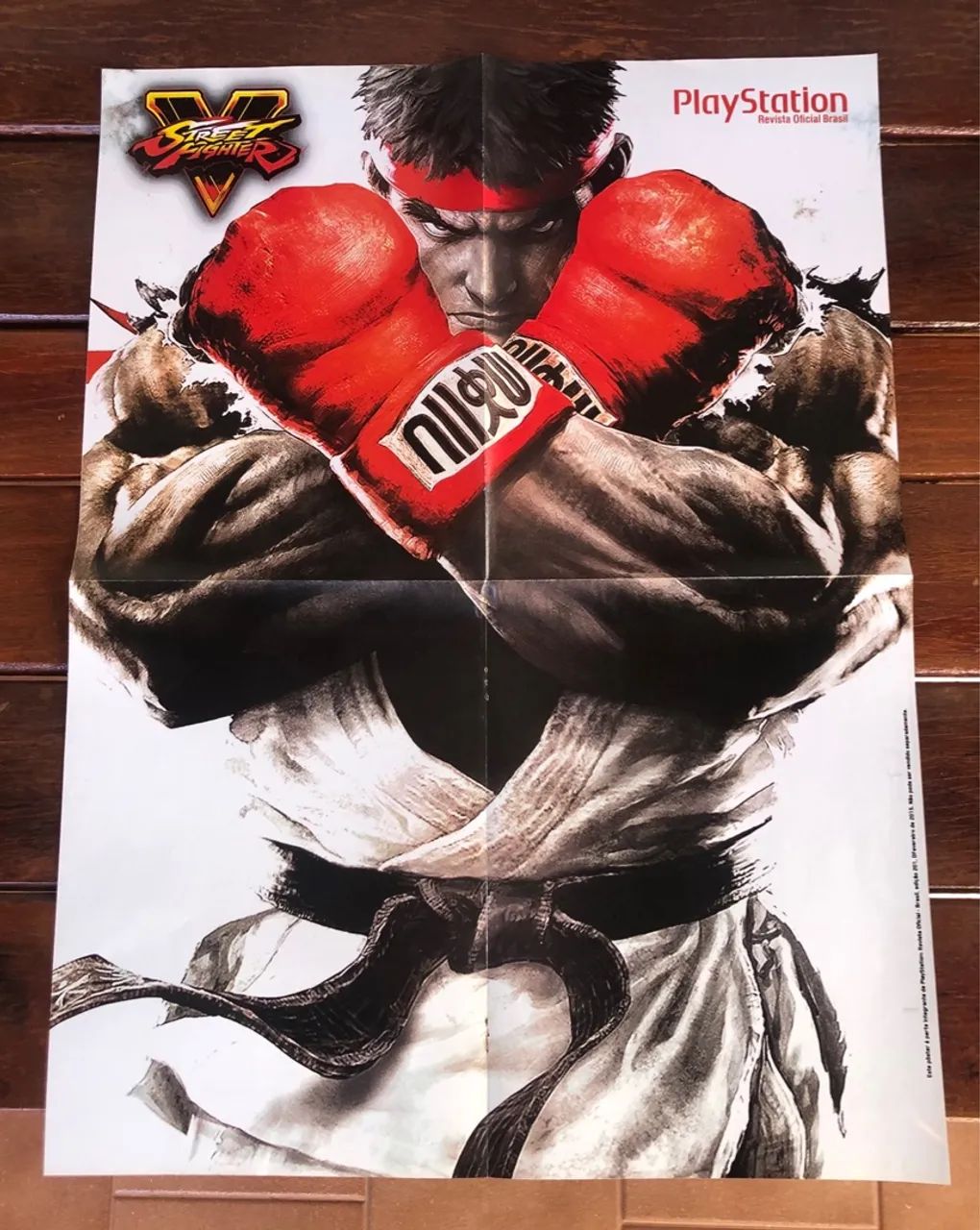 Pôsteres Street Fighter IV e V  - Foto 2