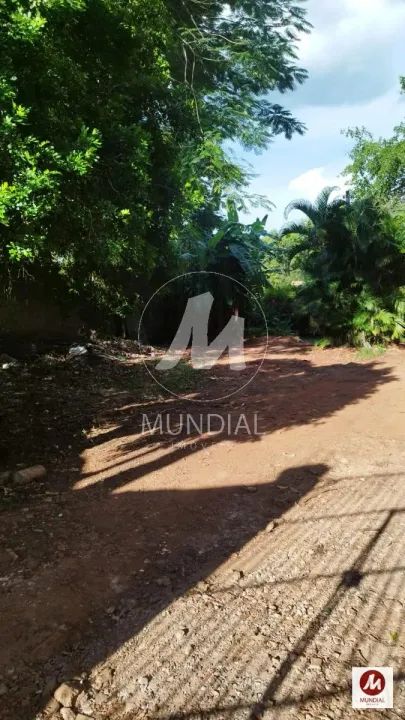 Terreno (terreno normal) - Foto 4