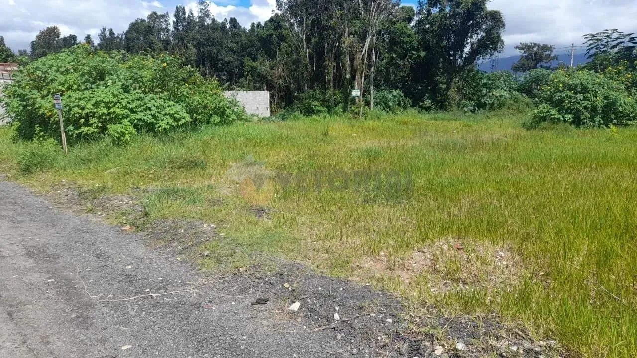 Terreno à venda, 268 m² por R$ 180.000,00 - Golfinho - Caraguatatuba/SP - Foto 4