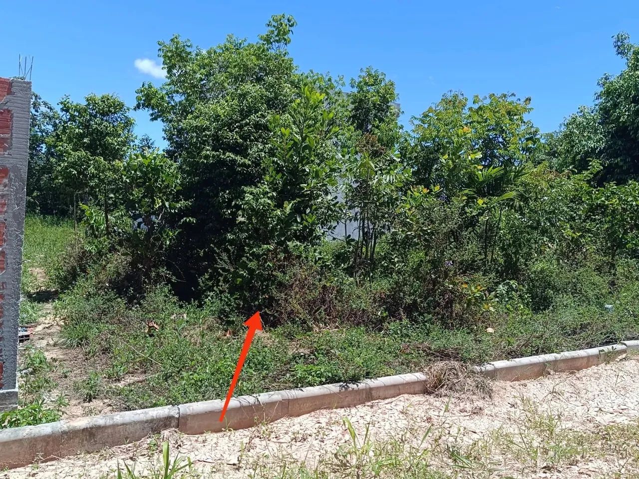 Imóvel à Venda na estrada da Cascalheira  Excelente Investimento! - Foto 3