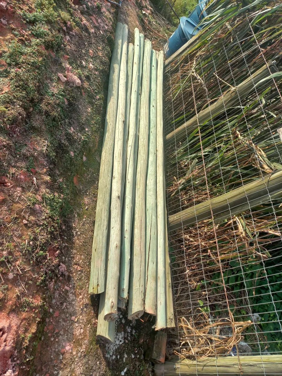 Arco de Aço,Moiroes de Eucalipto Tratados e  usados! - Foto 3