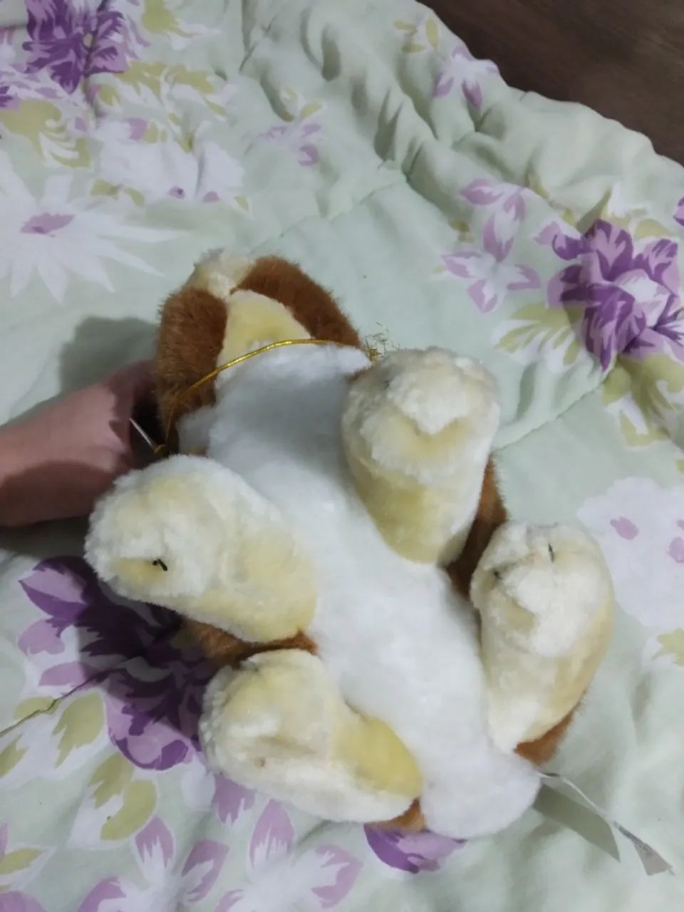 Coelho de Pelúcia - Foto 3