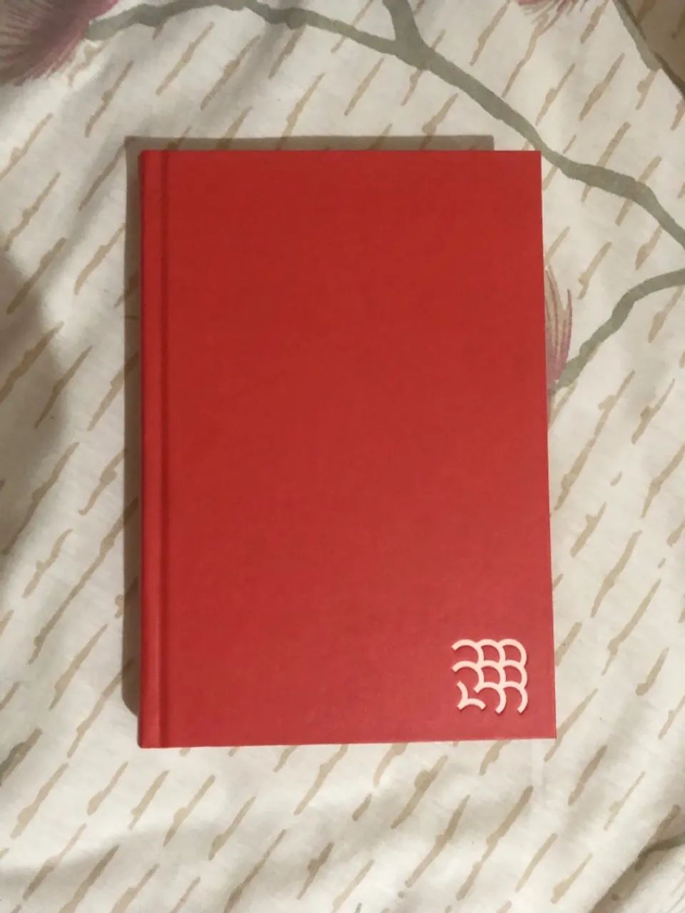 A outra garota negra 