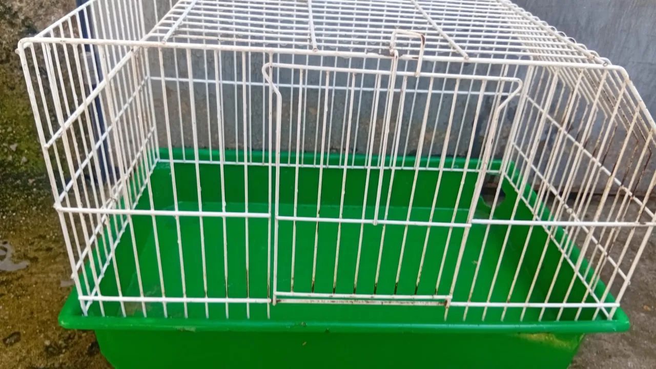 Gaiola para Roedores - Foto 2