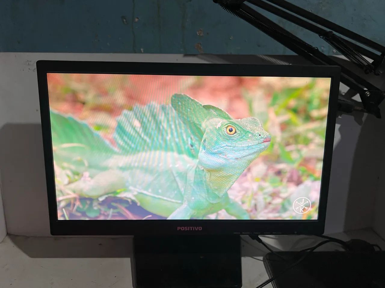 Positive 19 Inch Monitor PERFECT!!!64264604312705121