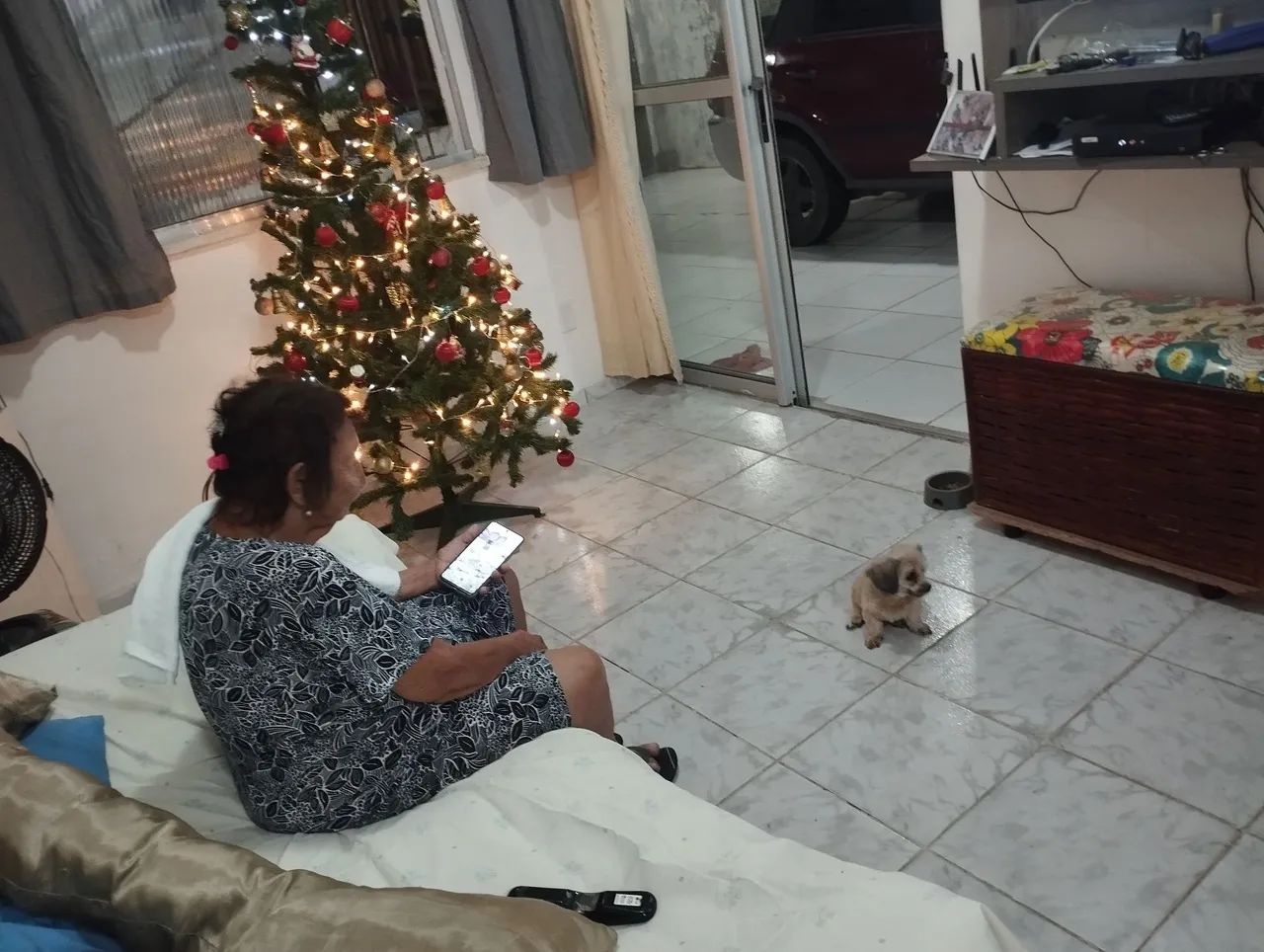 Foto - Aracaju - Aruana