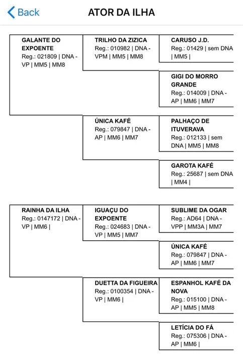 CASTRADO, REGISTRADO DE MARCHA PICADA. - Foto 5