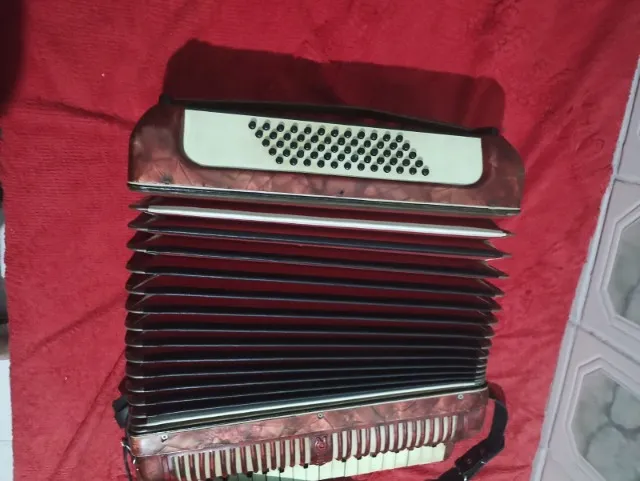 Vendo acordeon.