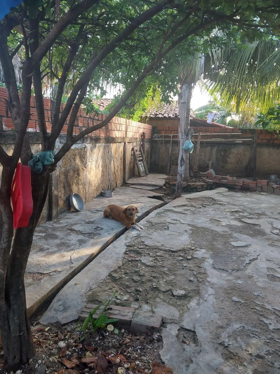Vende-se casa em Campo Maior - Pi - Foto 5
