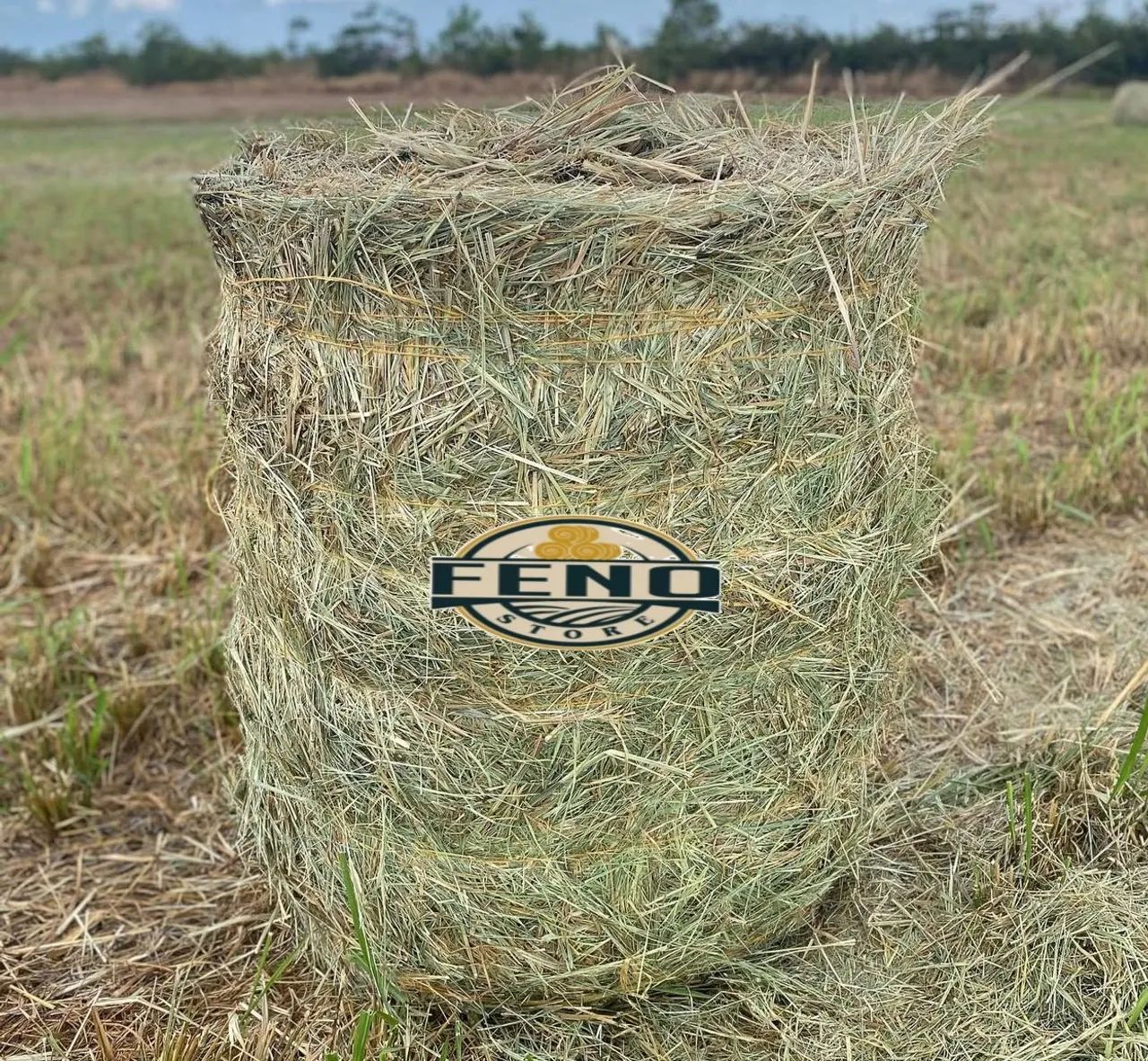 Bolas de Feno 