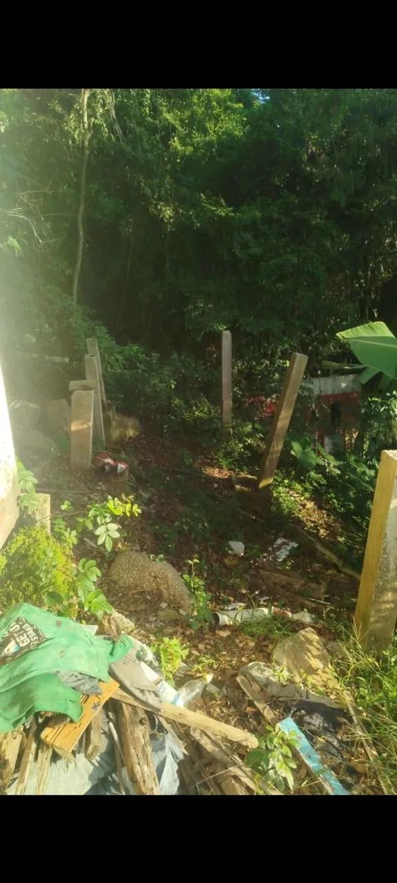 Terreno  - Foto 3