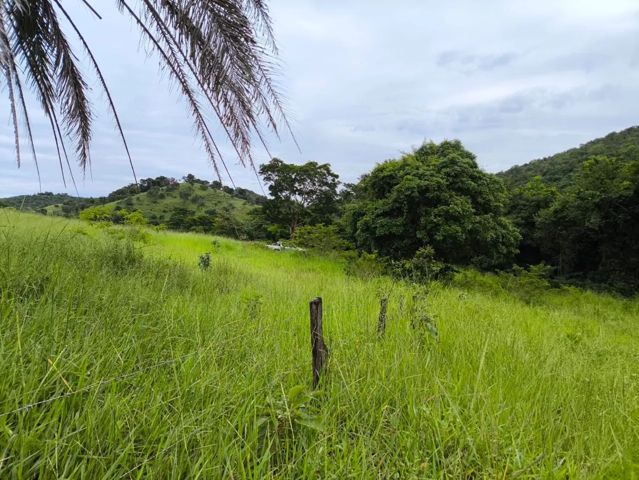 Excelente fazenda no Goiás  - Foto 3