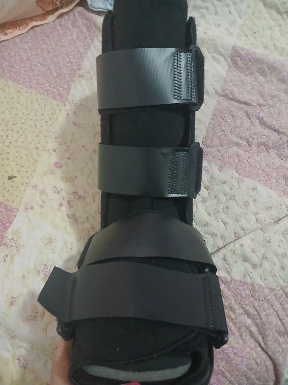 Bota 