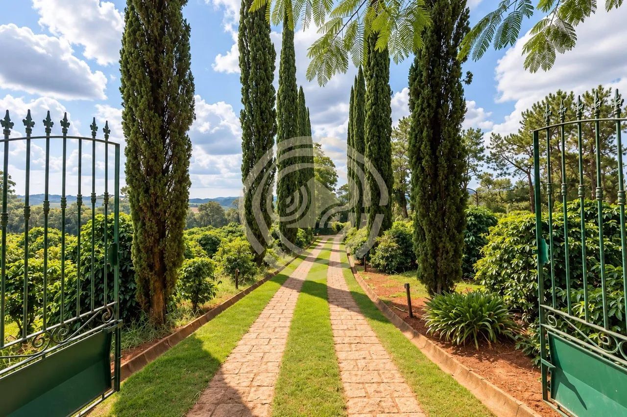 Sítio produtor de café com 48.700 m² à venda em Morungaba-SP - Foto 5
