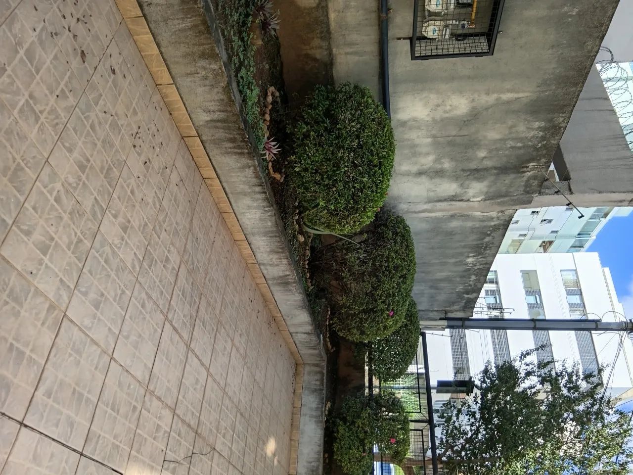 Apartamento 3 Quartos - Suíte - Castelo - Foto 4