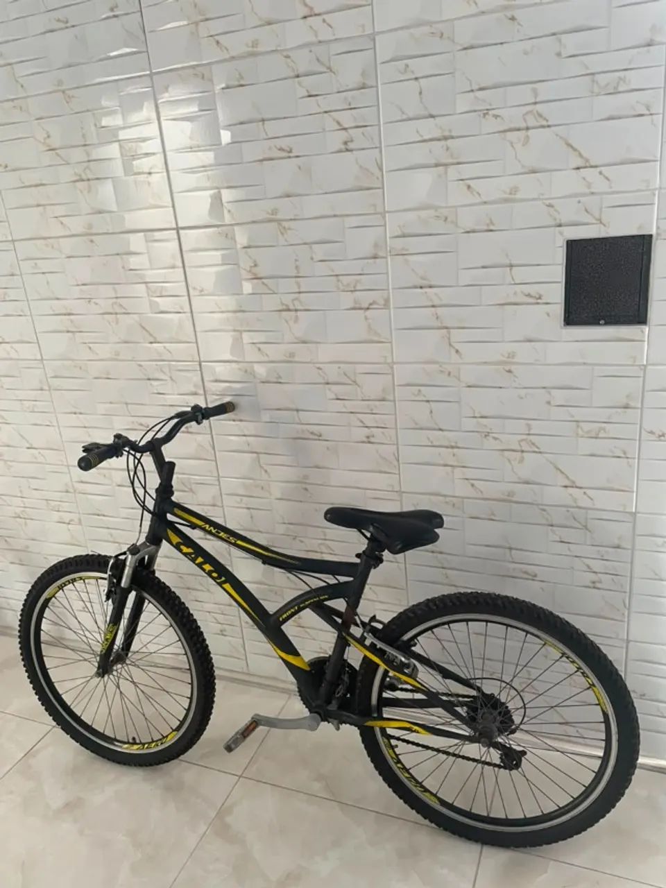 Bicicleta Andes Caloi 