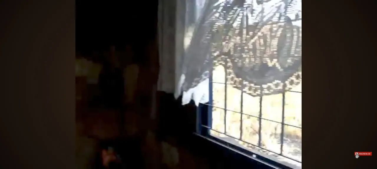 Chácara com casa Chapada dos Veadeiros  - Foto 5