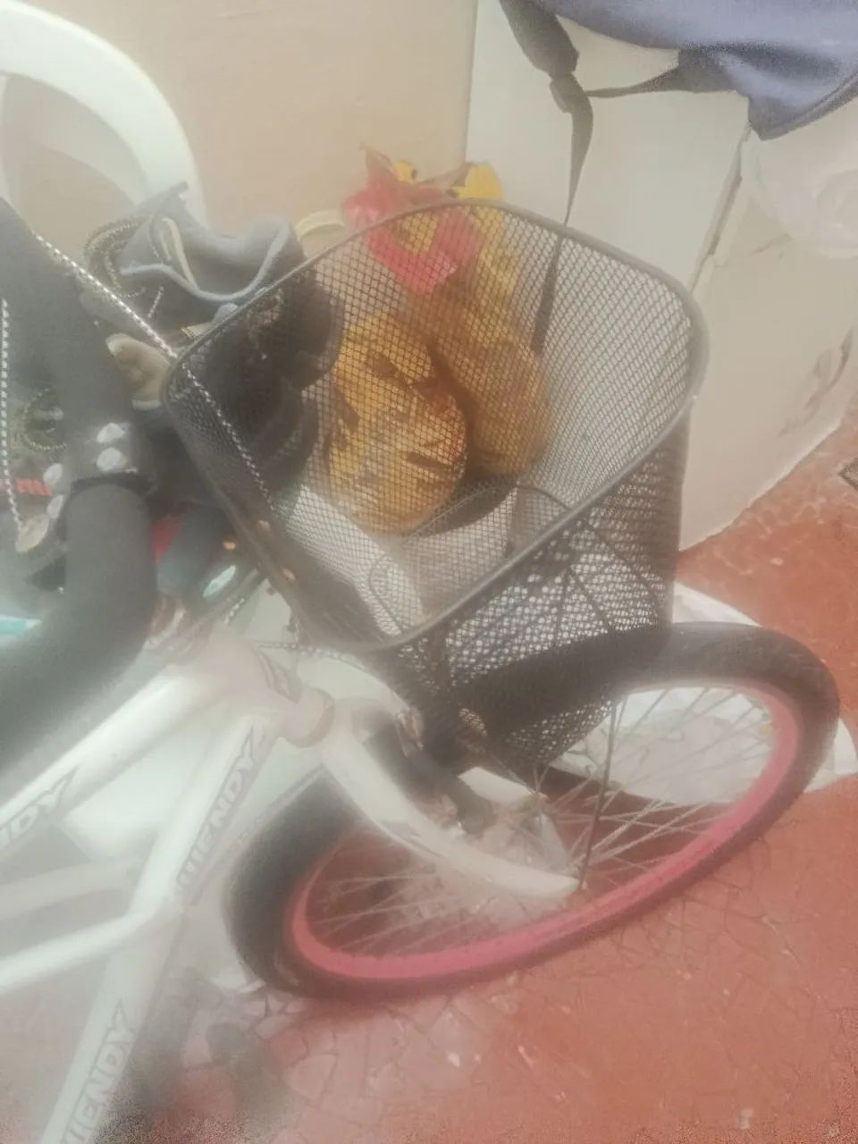 Bicicleta praiana  - Foto 4