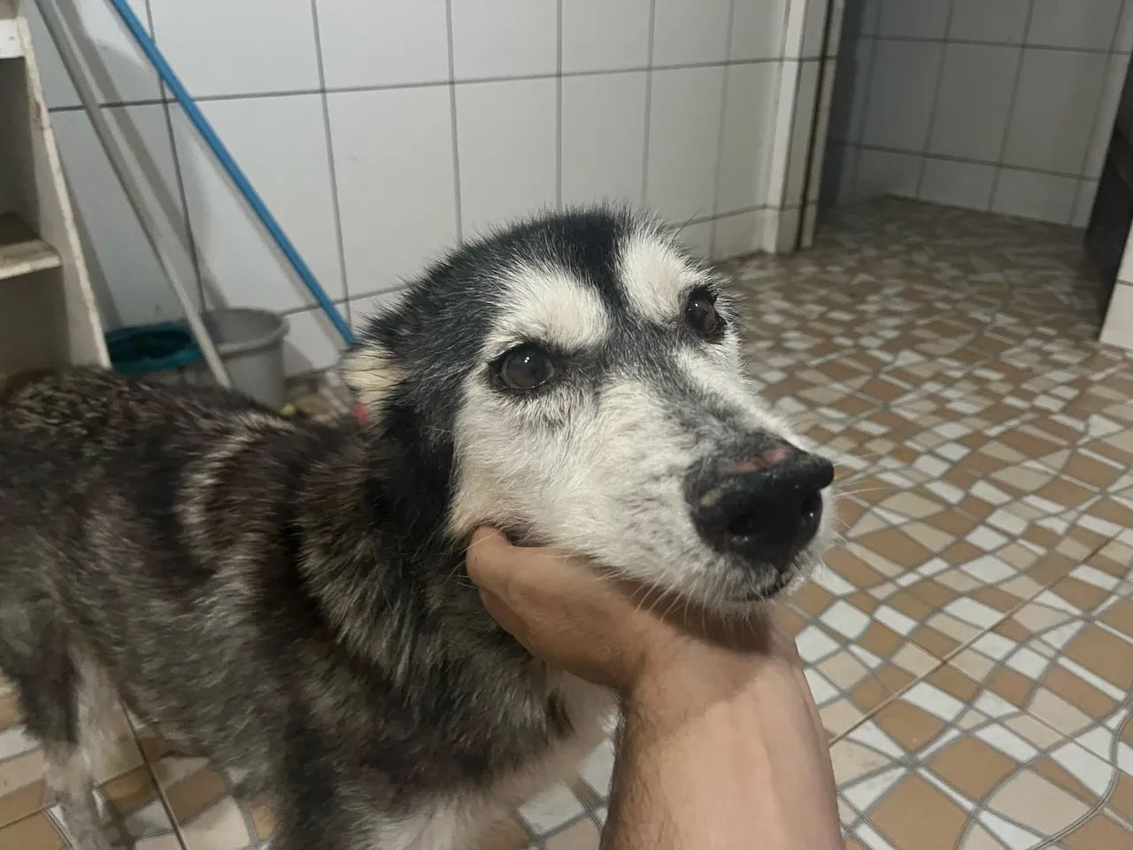 Doação  - Foto 3