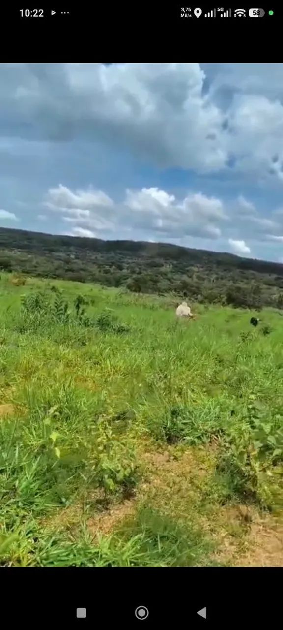 Fazenda arrendamento de pasto 140 alq.em Ipameri Goiás, 25.000 mês. - Foto 2