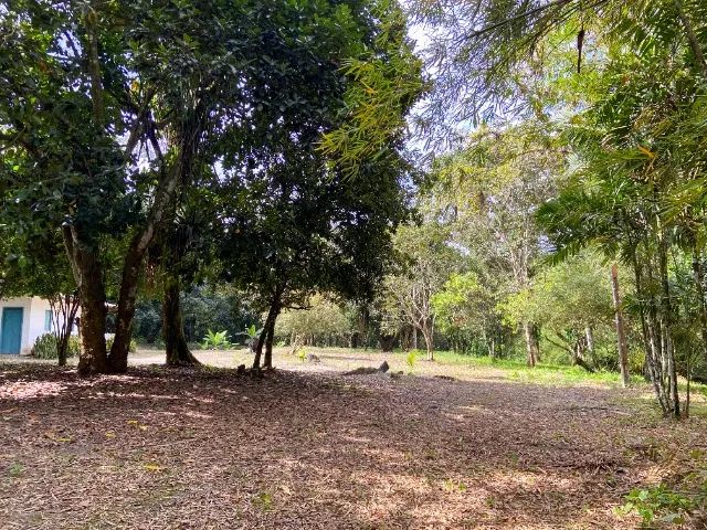 VENDO Chácara com 6,5 hectares - Foto 4
