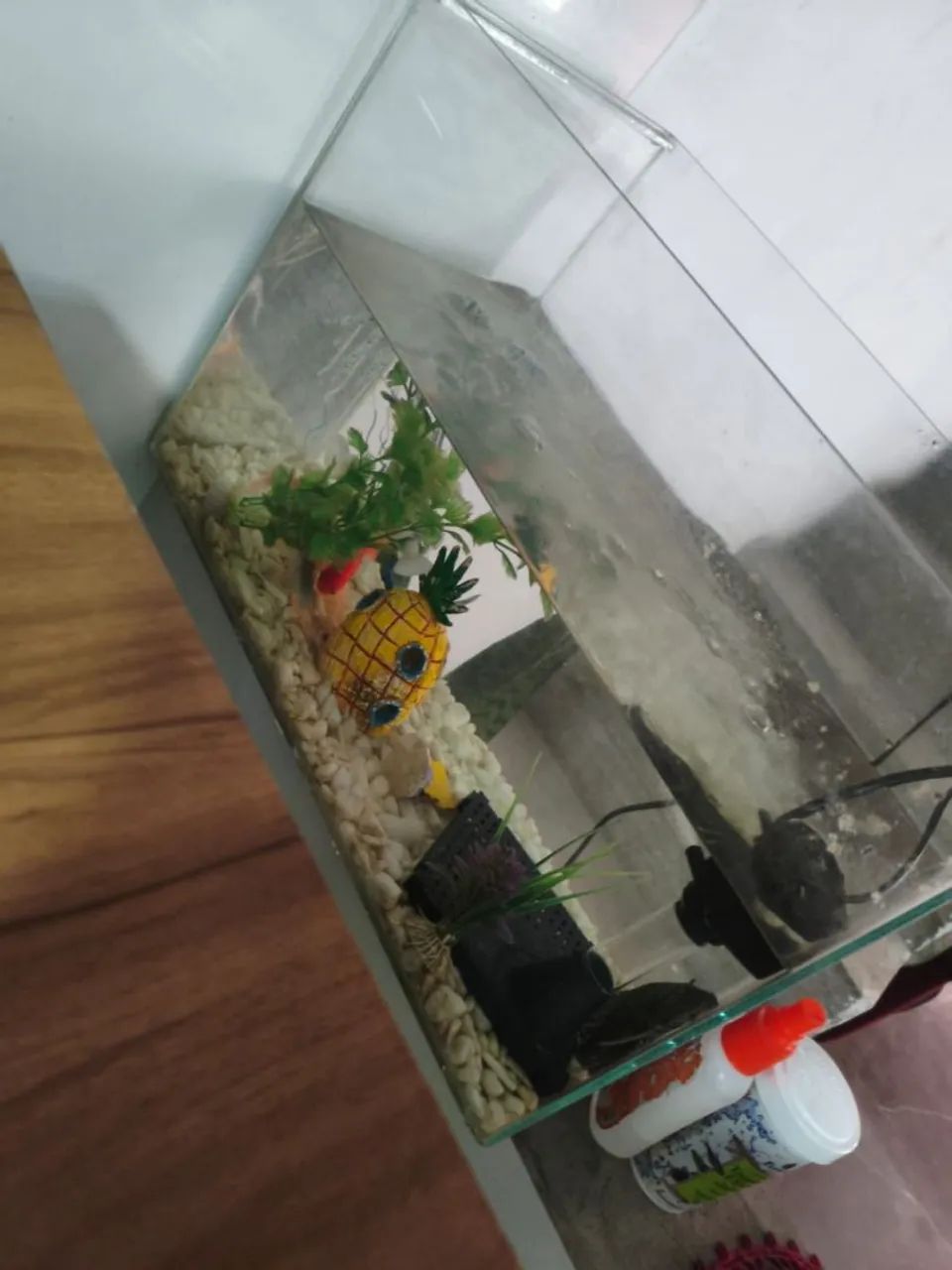 Aquário 45L com enfeites