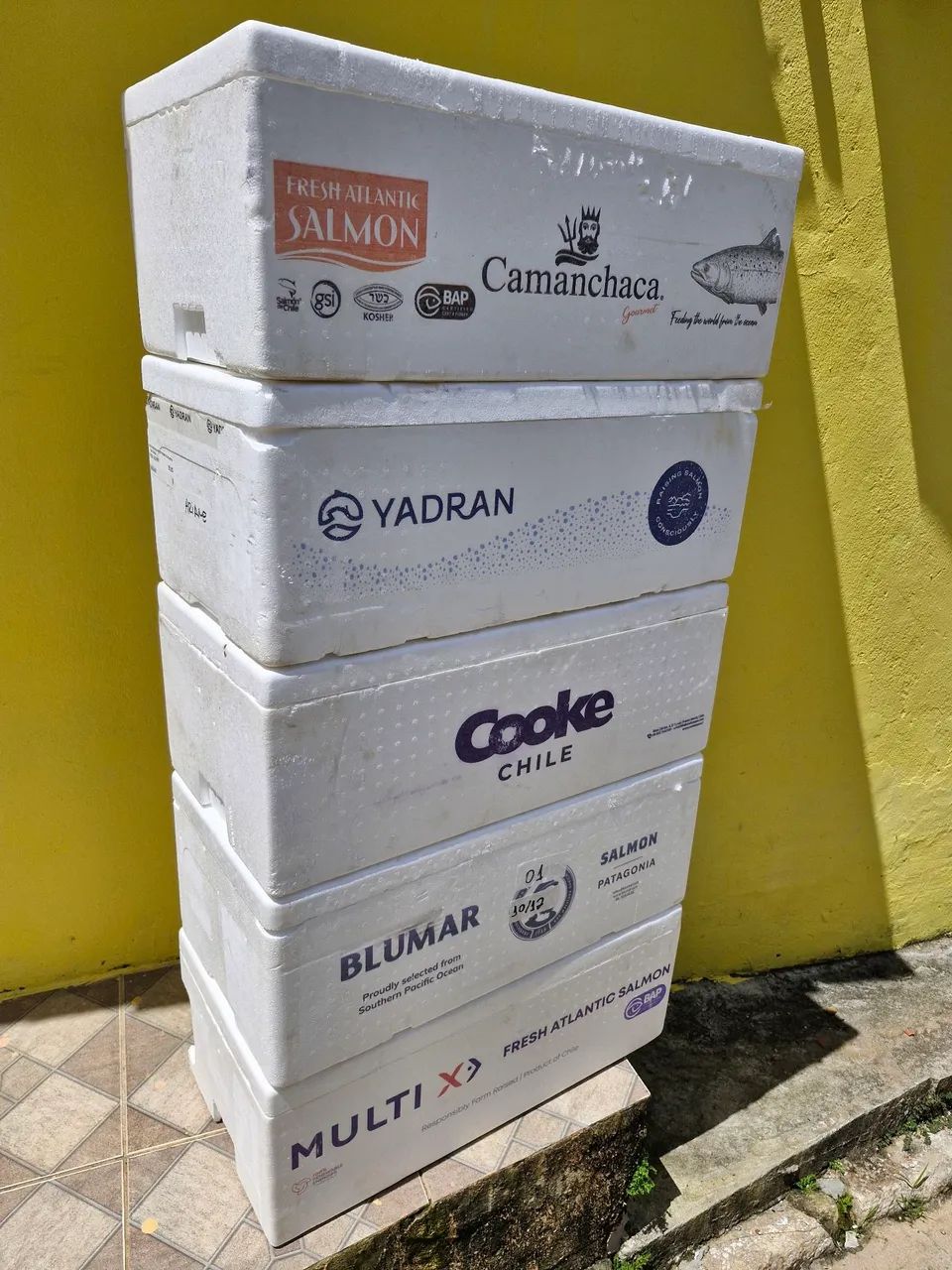 Caixa de Isopor - Foto 2