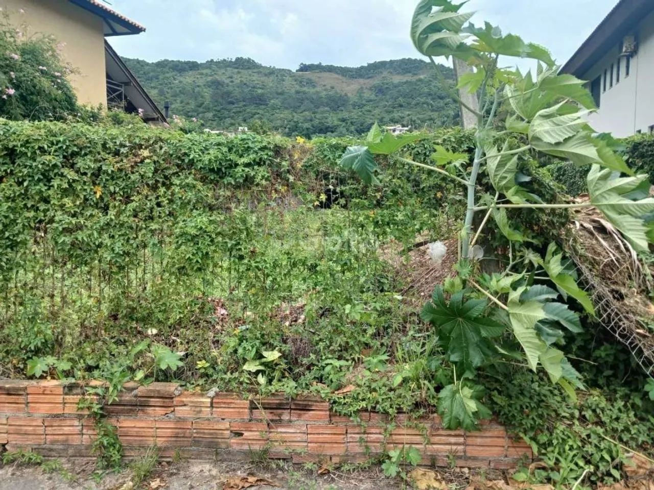 Terreno para Venda em Florianópolis, Praia Brava - Foto 5