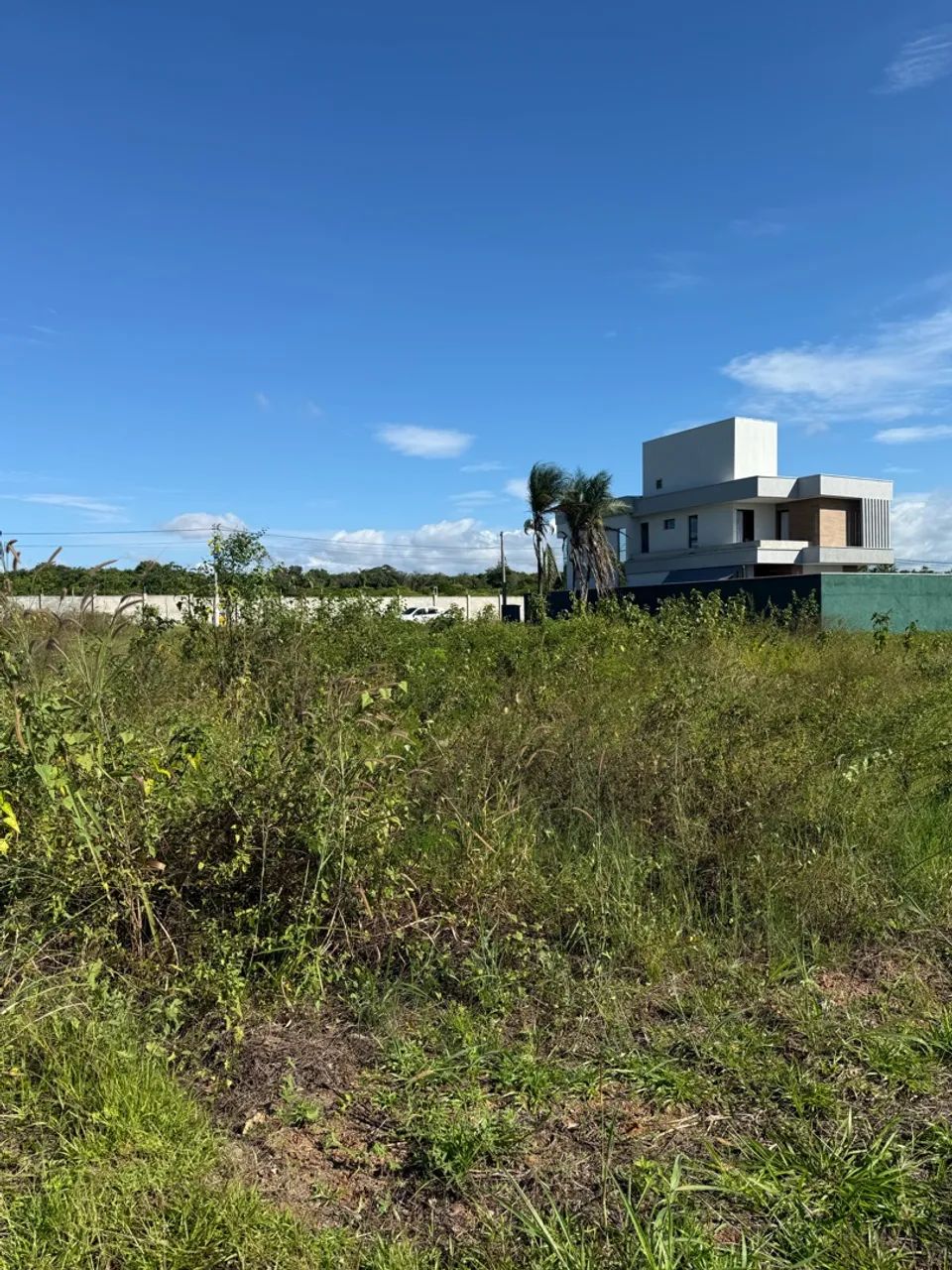 Jardins Boulevard | Localização Privilegiada Lote 250m²  - Foto 5