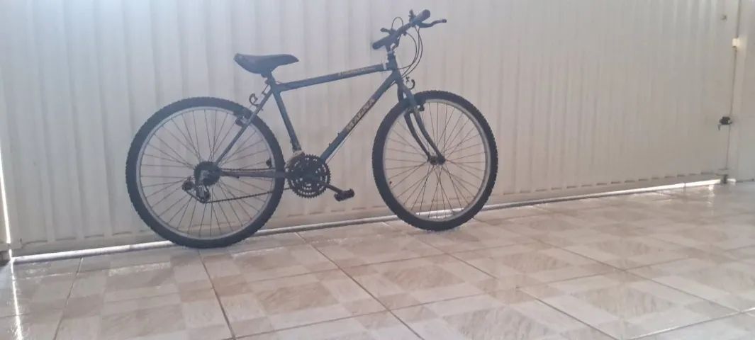 bike magna